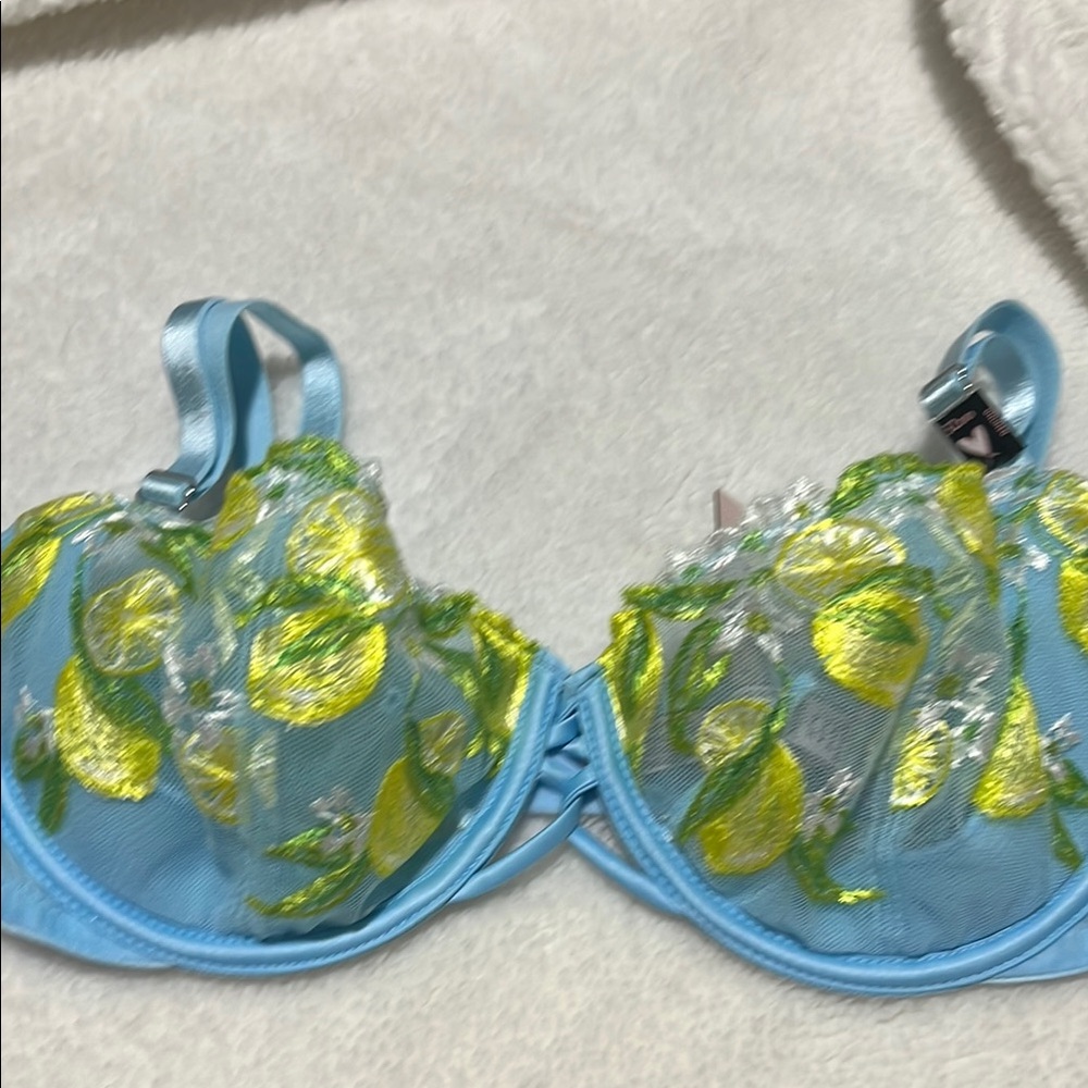 Dream Angel Wicked Blue Bra with Yellow Lemons Embroidery